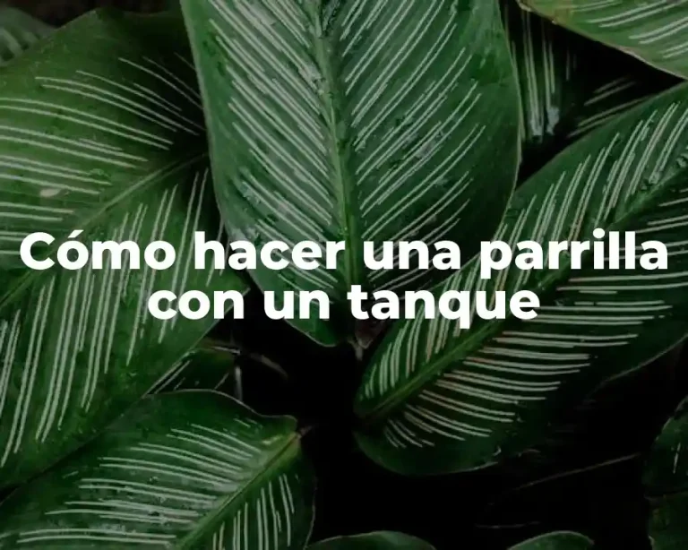 Cómo hacer una parrilla con un tanque