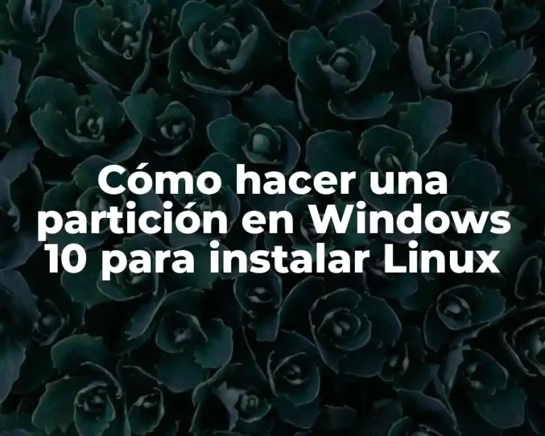 Cómo hacer una partición en Windows 10 para instalar Linux