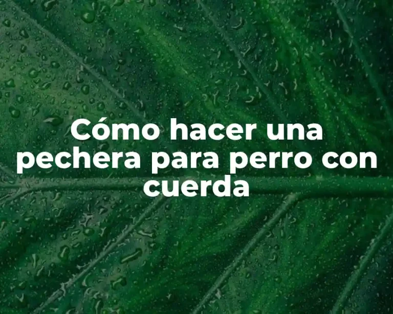 Cómo hacer una pechera para perro con cuerda