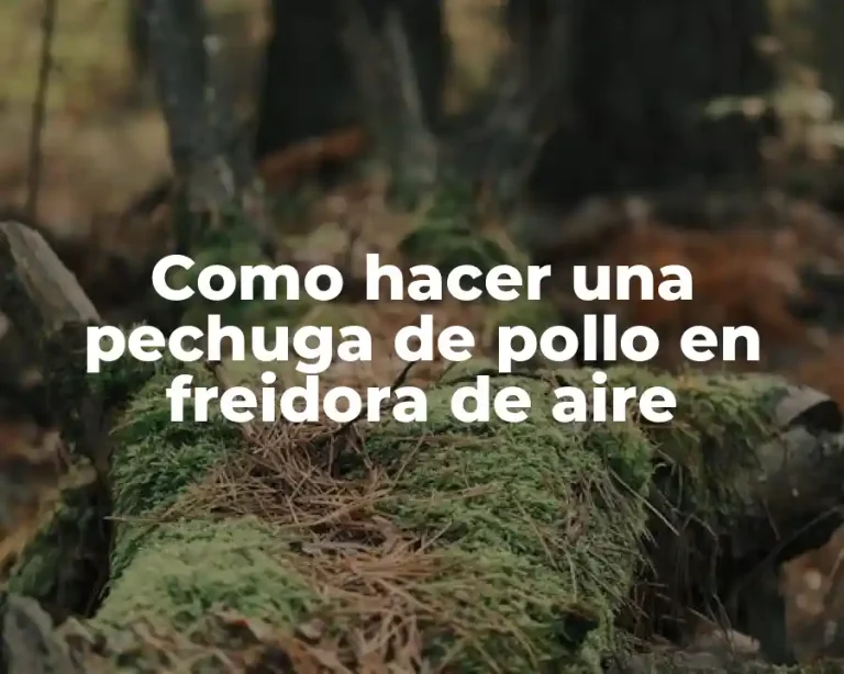 Como hacer una pechuga de pollo en freidora de aire