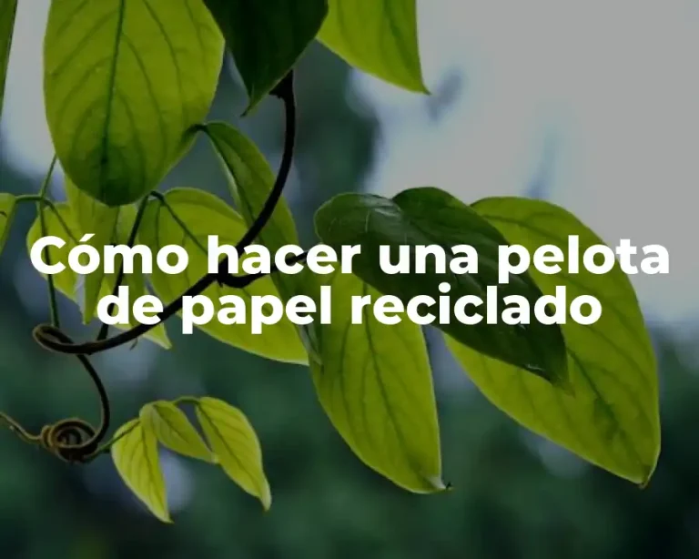 Cómo hacer una pelota de papel reciclado
