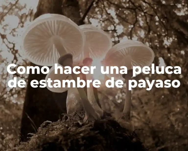 Como hacer una peluca de estambre de payaso