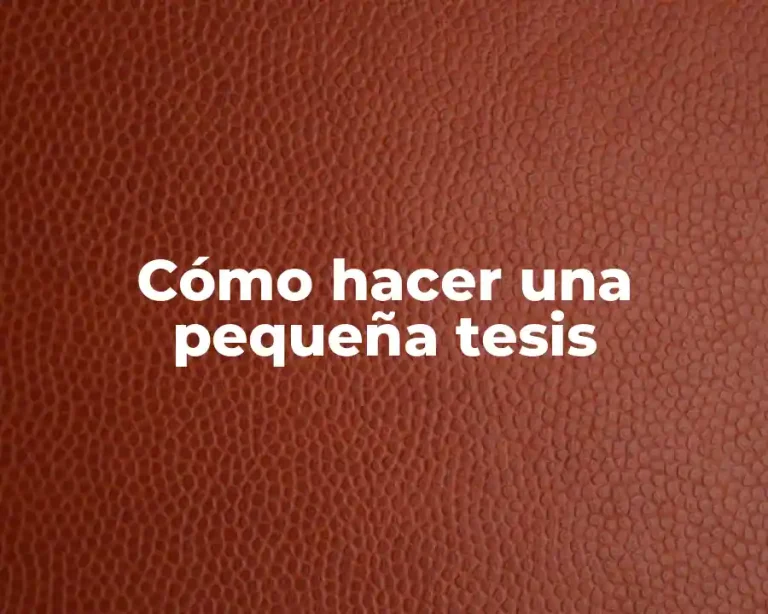 Cómo hacer una pequeña tesis