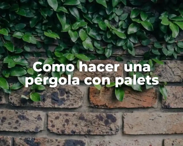 Como hacer una pérgola con palets