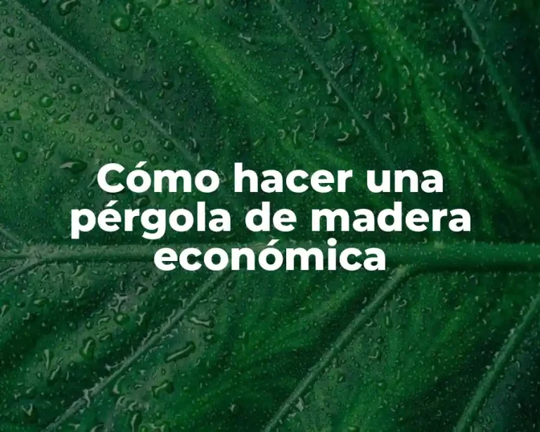 Cómo hacer una pérgola de madera económica