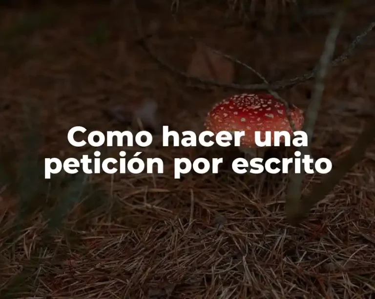 Como hacer una petición por escrito