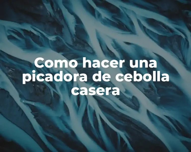 Como hacer una picadora de cebolla casera