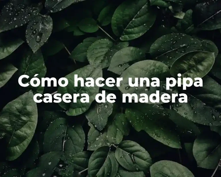 Cómo hacer una pipa casera de madera