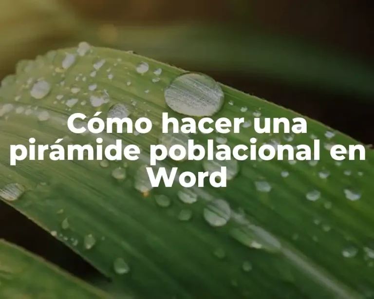 Cómo hacer una pirámide poblacional en Word