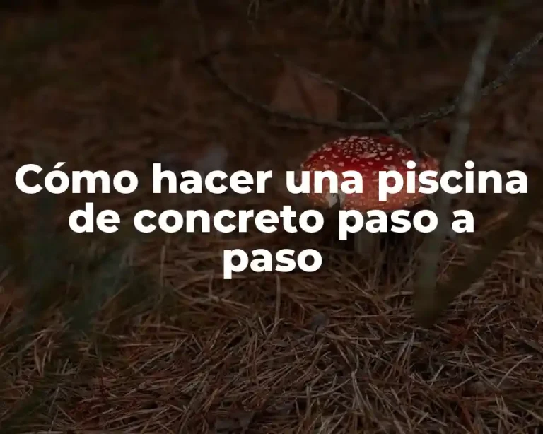 Cómo hacer una piscina de concreto paso a paso