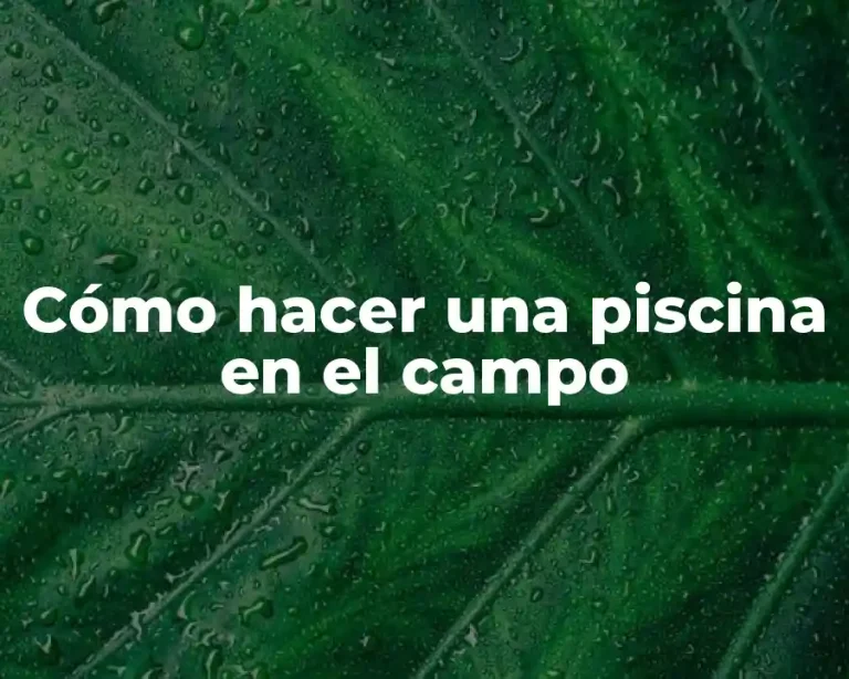 Cómo hacer una piscina en el campo