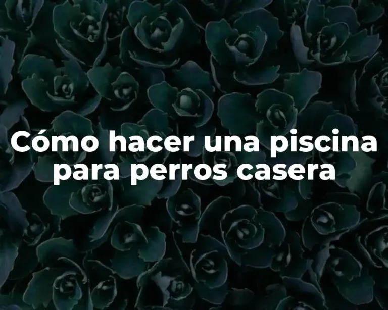 Cómo hacer una piscina para perros casera