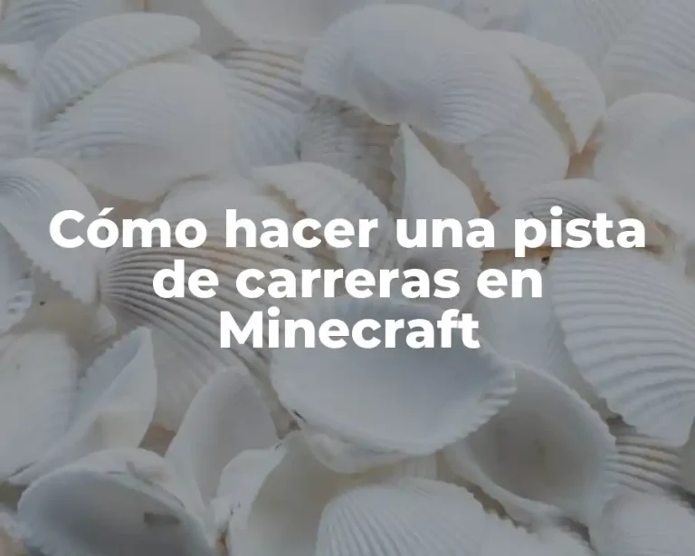 Cómo hacer una pista de carreras en Minecraft