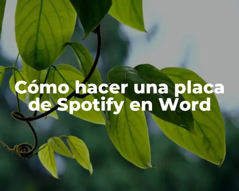 Cómo hacer una placa de Spotify en Word