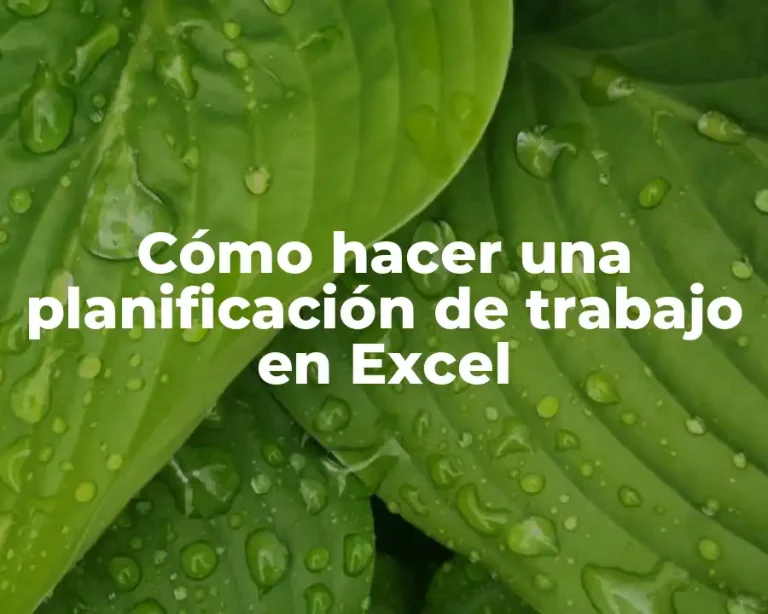 Cómo hacer una planificación de trabajo en Excel