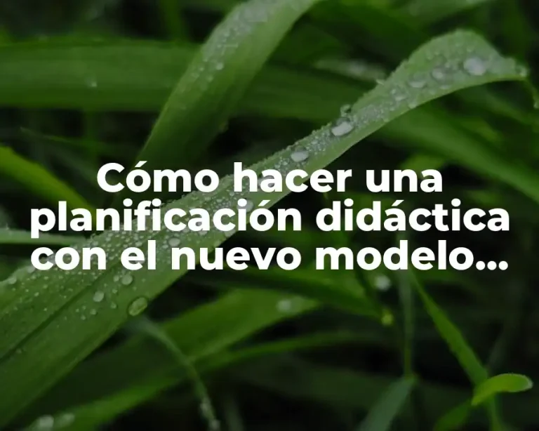 Cómo hacer una planificación didáctica con el nuevo modelo educativo