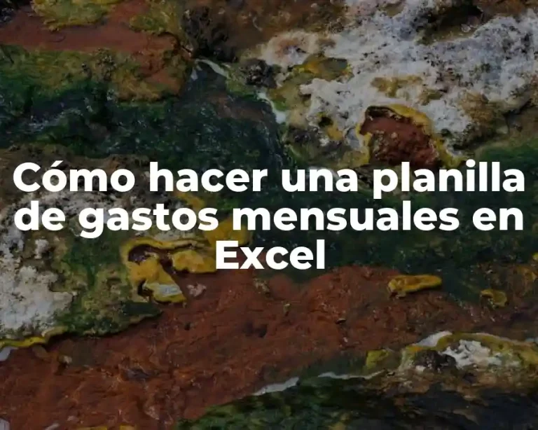 Cómo hacer una planilla de gastos mensuales en Excel