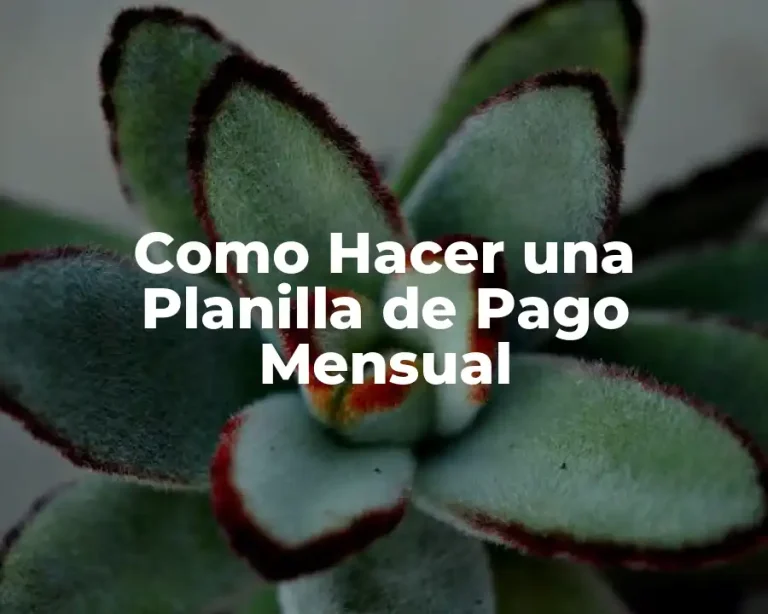 Como Hacer una Planilla de Pago Mensual