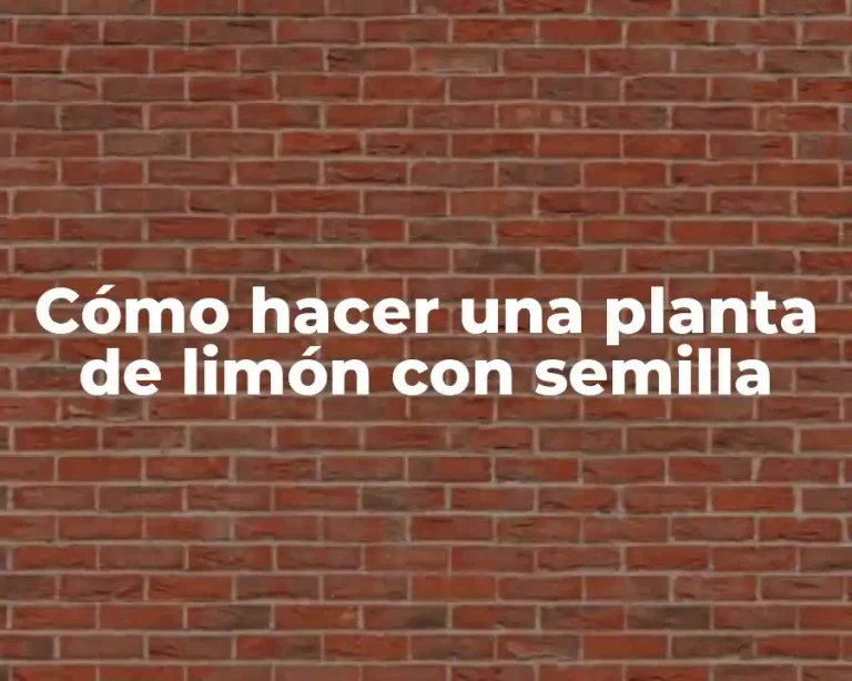 Cómo hacer una planta de limón con semilla