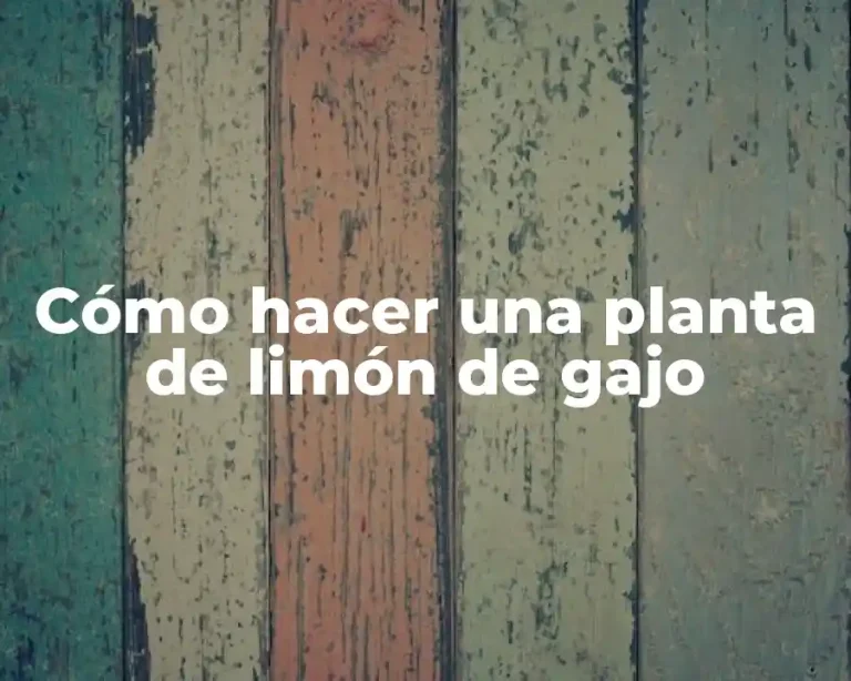 Cómo hacer una planta de limón de gajo