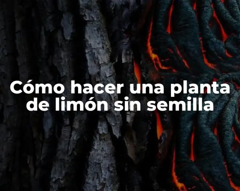 Cómo hacer una planta de limón sin semilla