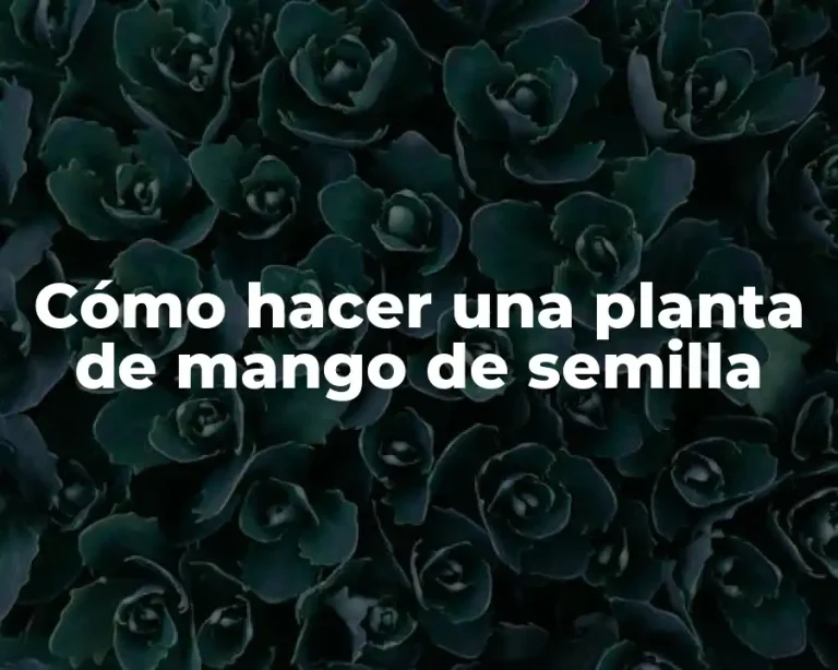Cómo hacer una planta de mango de semilla