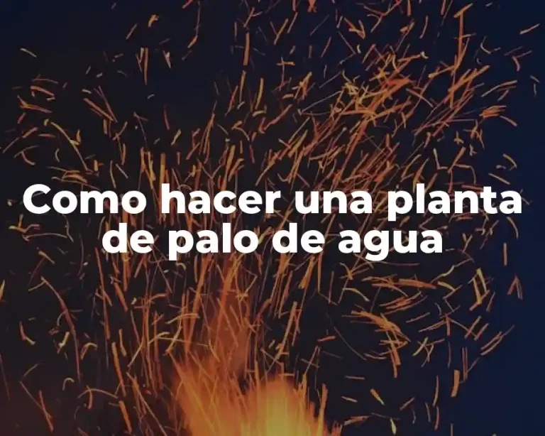 Como hacer una planta de palo de agua
