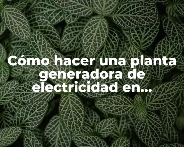 Cómo hacer una planta generadora de electricidad en maqueta