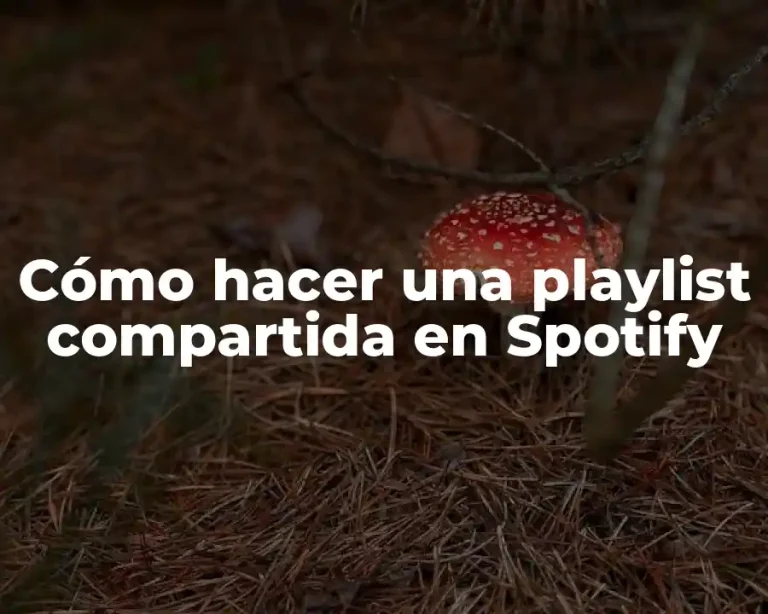 Cómo hacer una playlist compartida en Spotify