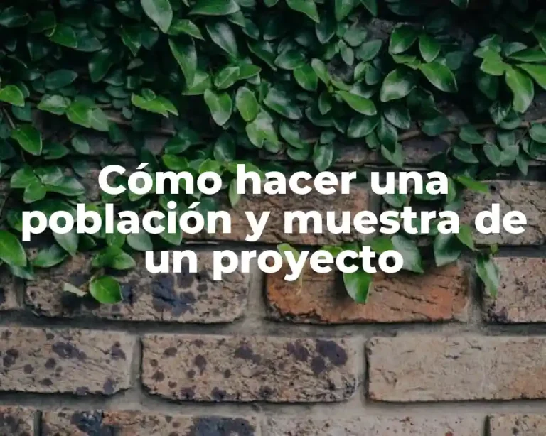 Cómo hacer una población y muestra de un proyecto