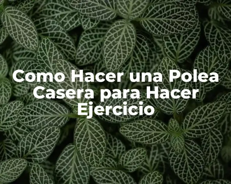 Como Hacer una Polea Casera para Hacer Ejercicio