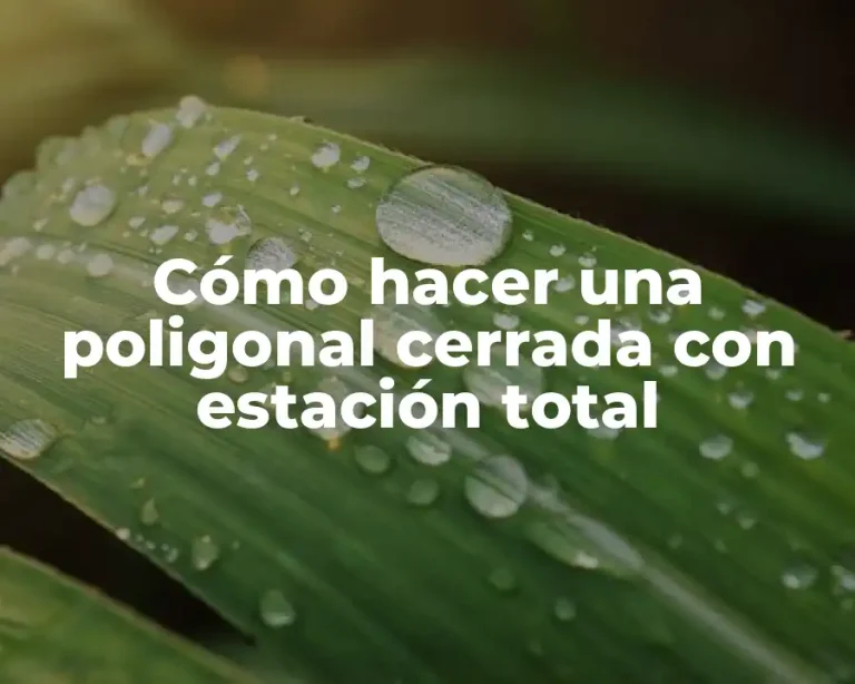 Cómo hacer una poligonal cerrada con estación total
