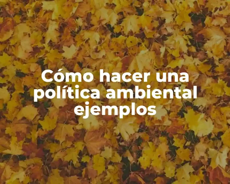 Cómo hacer una política ambiental ejemplos