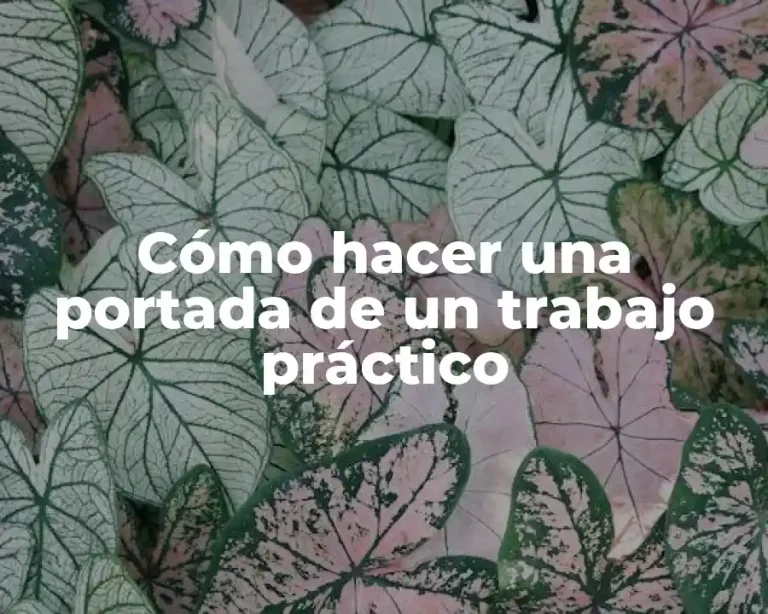 Cómo hacer una portada de un trabajo práctico