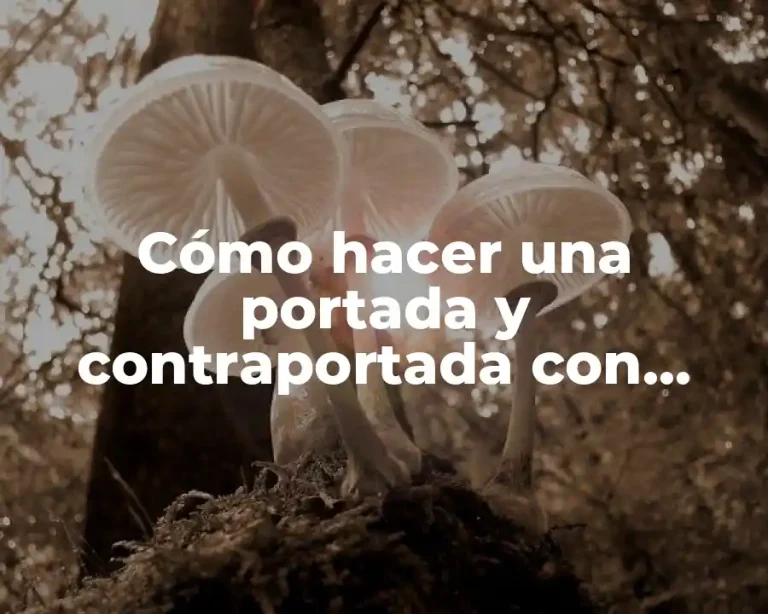 Cómo hacer una portada y contraportada con normas APA