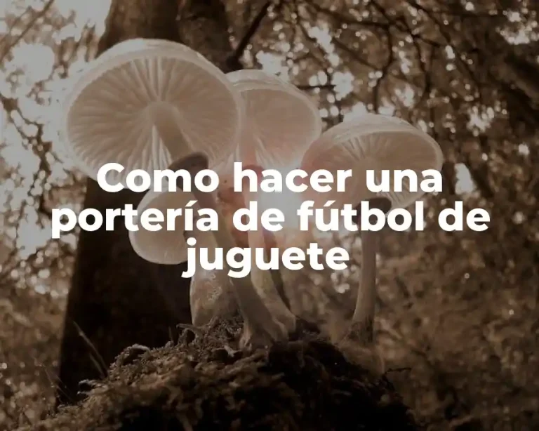 Como hacer una portería de fútbol de juguete