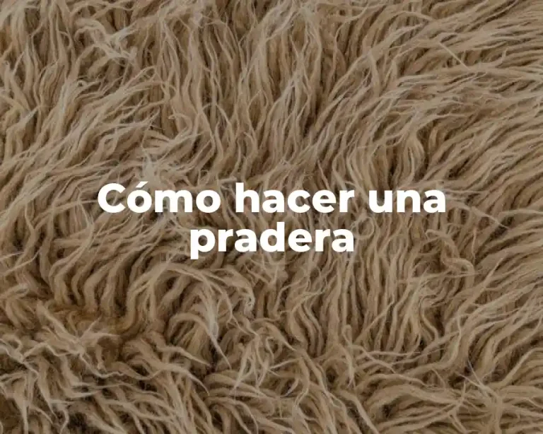 Cómo hacer una pradera