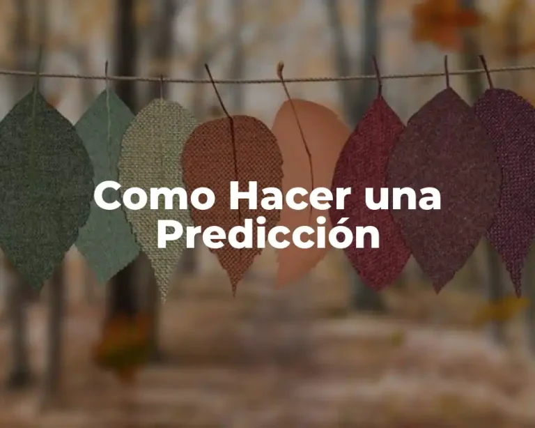 Como Hacer una Predicción