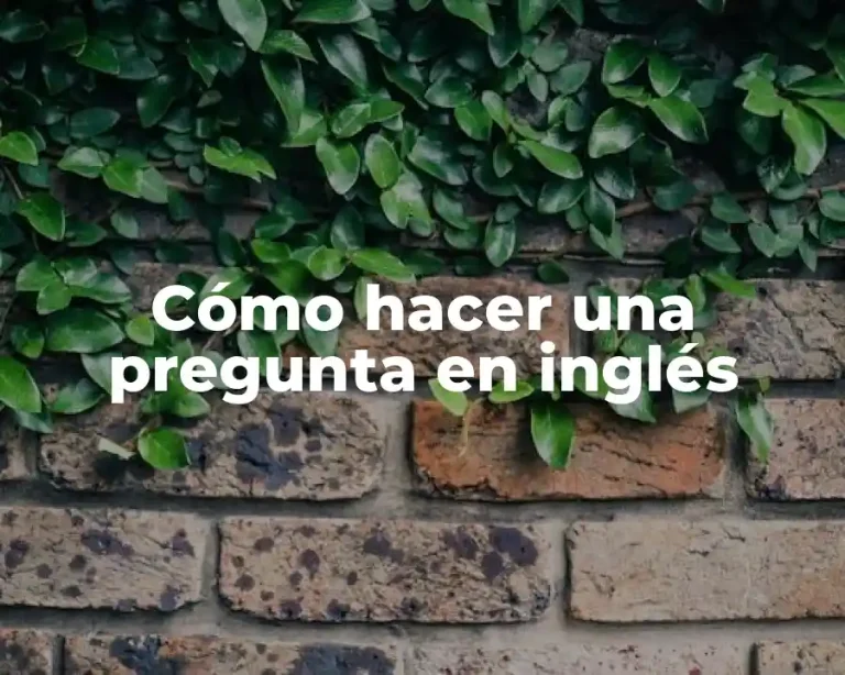 Cómo hacer una pregunta en inglés