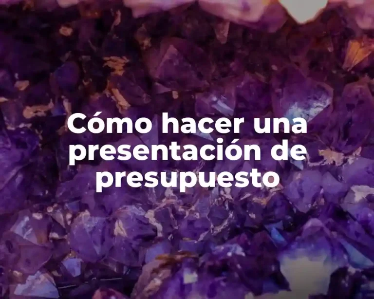 Cómo hacer una presentación de presupuesto