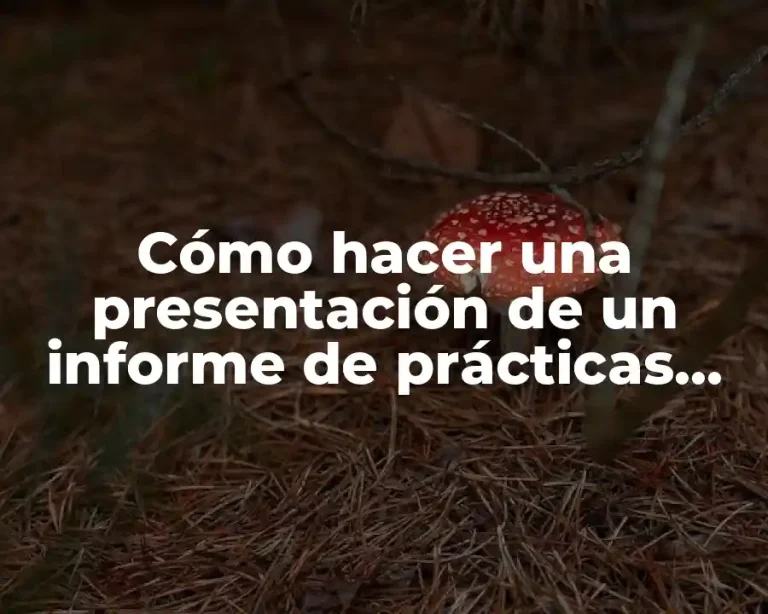 Cómo hacer una presentación de un informe de prácticas profesionales