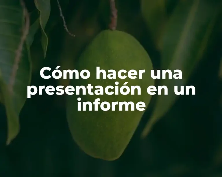 Cómo hacer una presentación en un informe