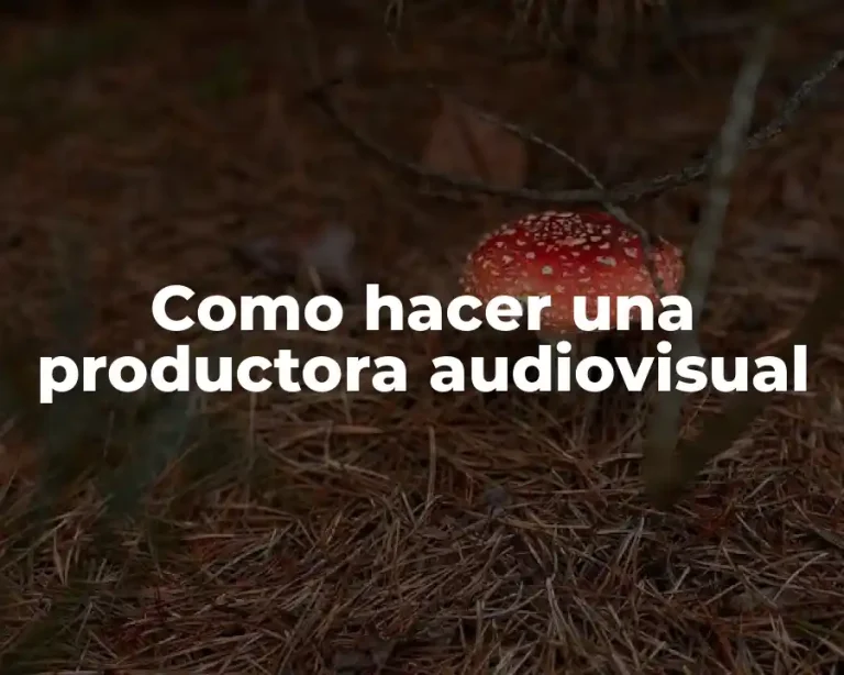 Como hacer una productora audiovisual