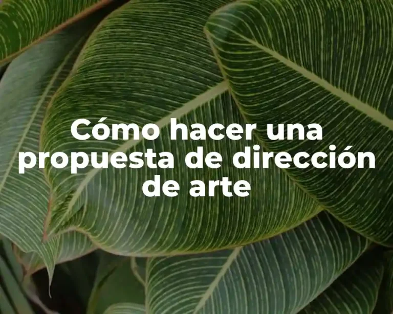 Cómo hacer una propuesta de dirección de arte