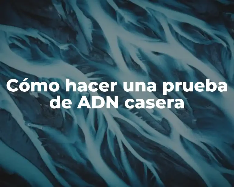 Cómo hacer una prueba de ADN casera