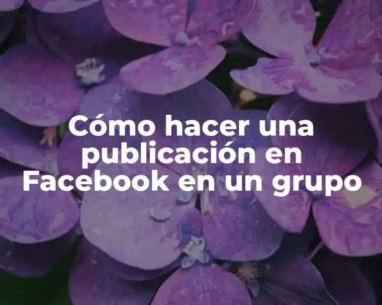 Cómo hacer una publicación en Facebook en un grupo