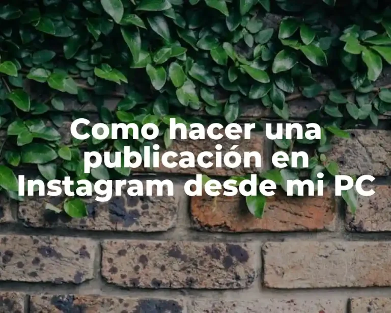 Como hacer una publicación en Instagram desde mi PC