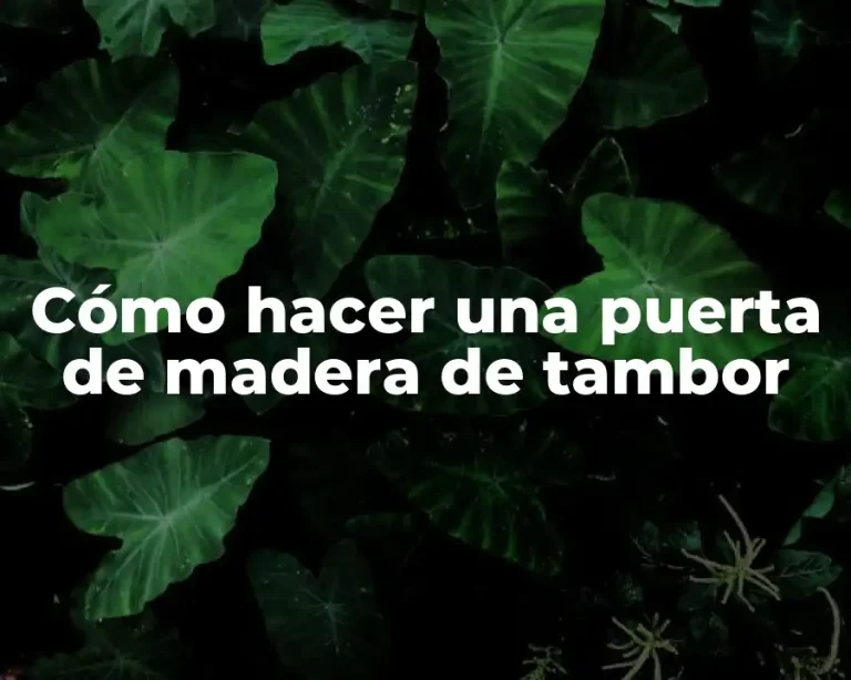 Cómo hacer una puerta de madera de tambor