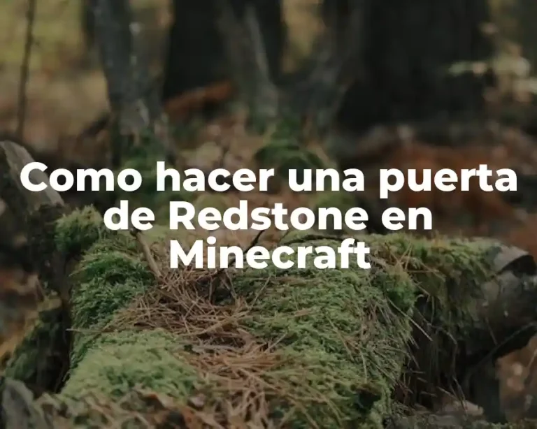 Como hacer una puerta de Redstone en Minecraft
