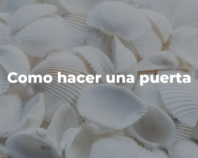 Como hacer una puerta